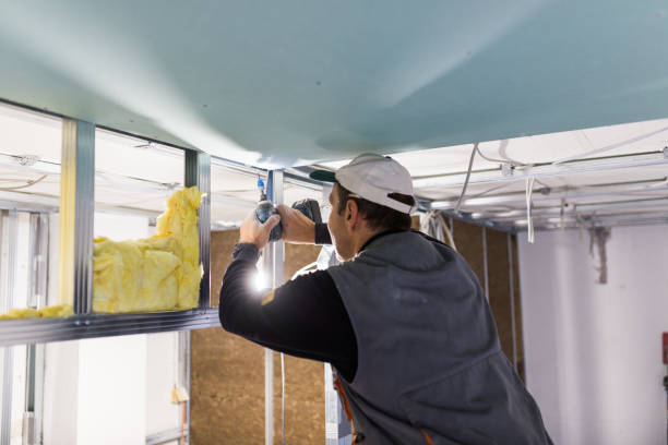 Best Geographic-Specific Insulation Services in Oak Grove, VA